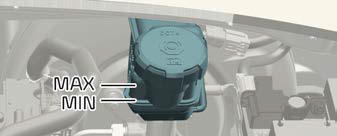 Checking the brake fluid level