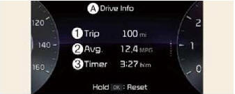 Trip information (trip computer) 
