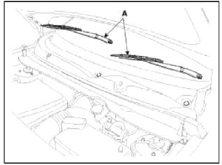 Windshield Wiper/Washer