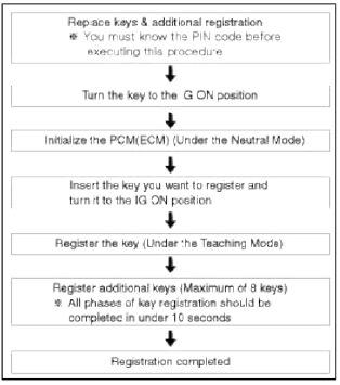 Immobilizer System
