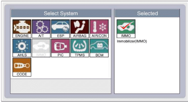 Immobilizer System