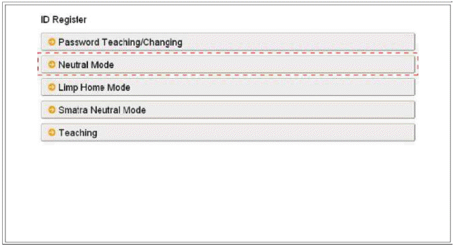 Immobilizer System