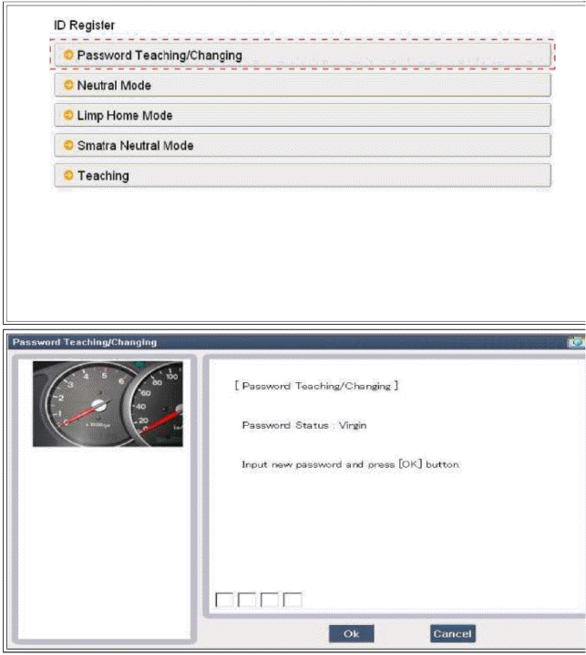 Immobilizer System