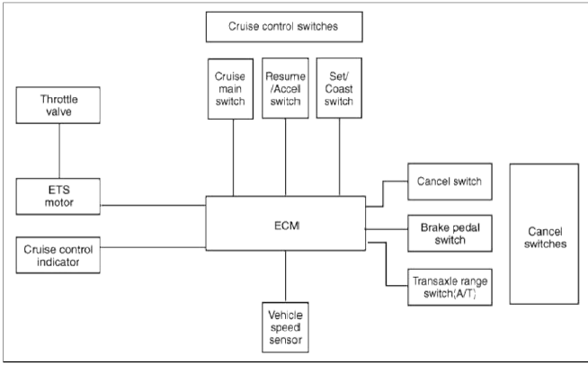 Engine Electrical System