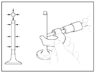 Cylinder Head Assembly