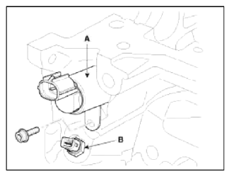 Cylinder Head Assembly