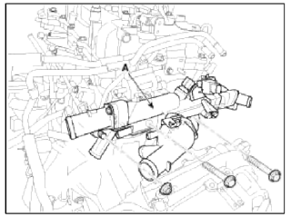 Cylinder Head Assembly