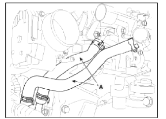 Cylinder Head Assembly