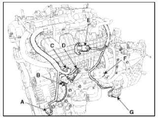 Cylinder Head Assembly