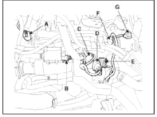 Cylinder Head Assembly