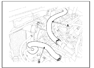 Cylinder Head Assembly