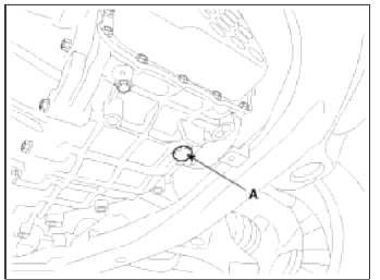 Drain plug tightening torque: