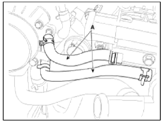 Intake And Exhaust System