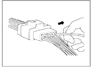 General Information