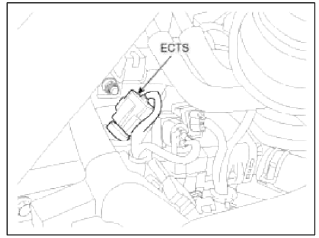 5. Engine Coolant Temperature Sensor (ECTS)