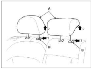 Seat & Power Seat