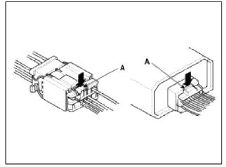 General Information