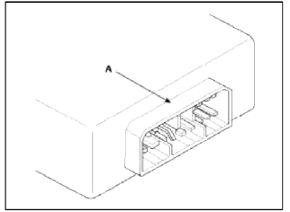 General Information