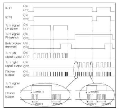 BCM (Body Control Module)