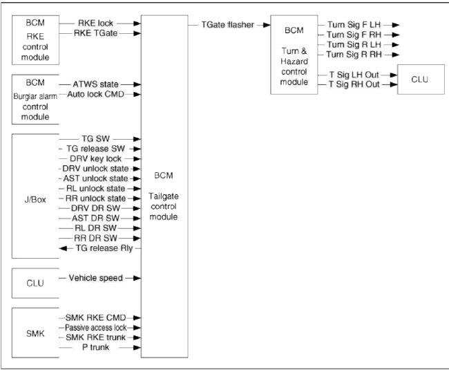 BCM (Body Control Module)
