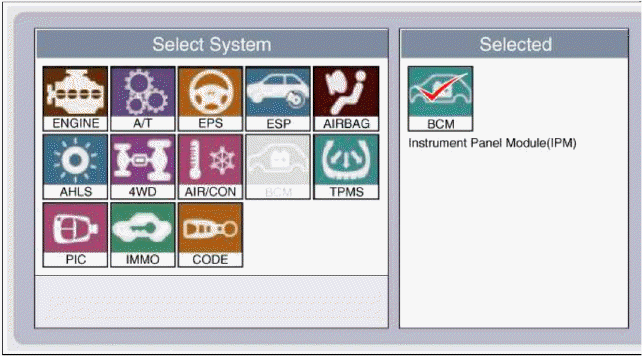 BCM (Body Control Module)